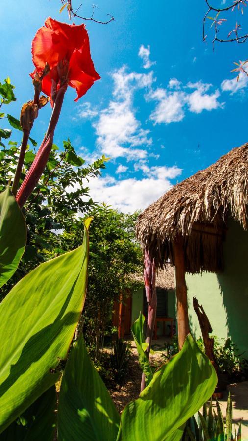 Cabanas Las Palmas Bacalar Buitenkant foto