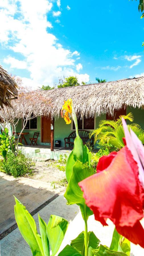 Cabanas Las Palmas Bacalar Buitenkant foto