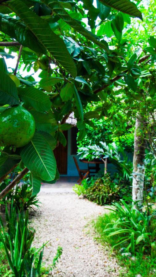 Cabanas Las Palmas Bacalar Buitenkant foto