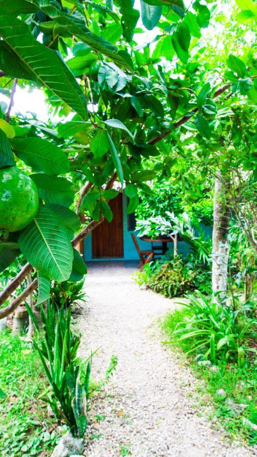 Cabanas Las Palmas Bacalar Buitenkant foto